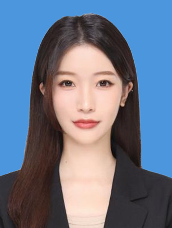 描述
